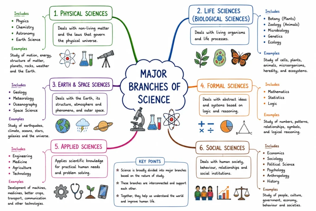Introduction to Science: Meaning, Branches, and Scientific Method 1 Major Branches of Science
